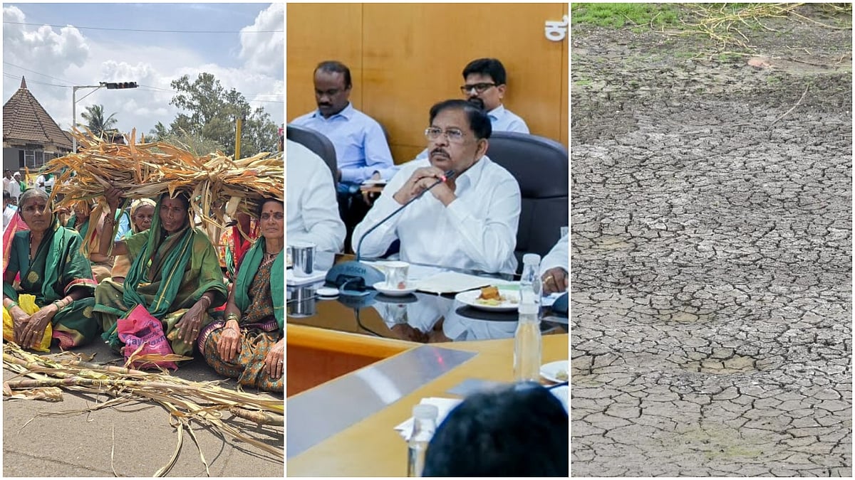 Photo from Deccan Herald's story