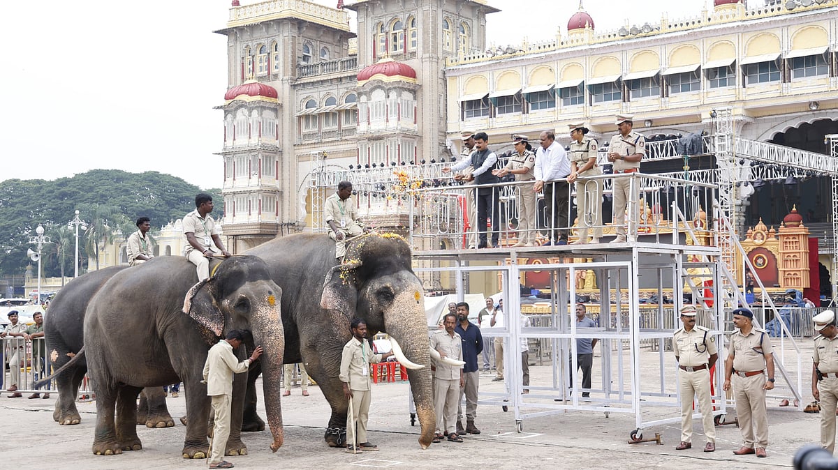 Photo from Deccan Herald's story