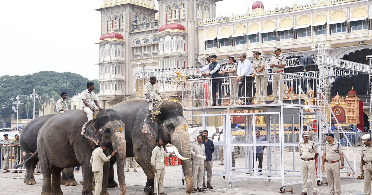 Photo from Deccan Herald's story