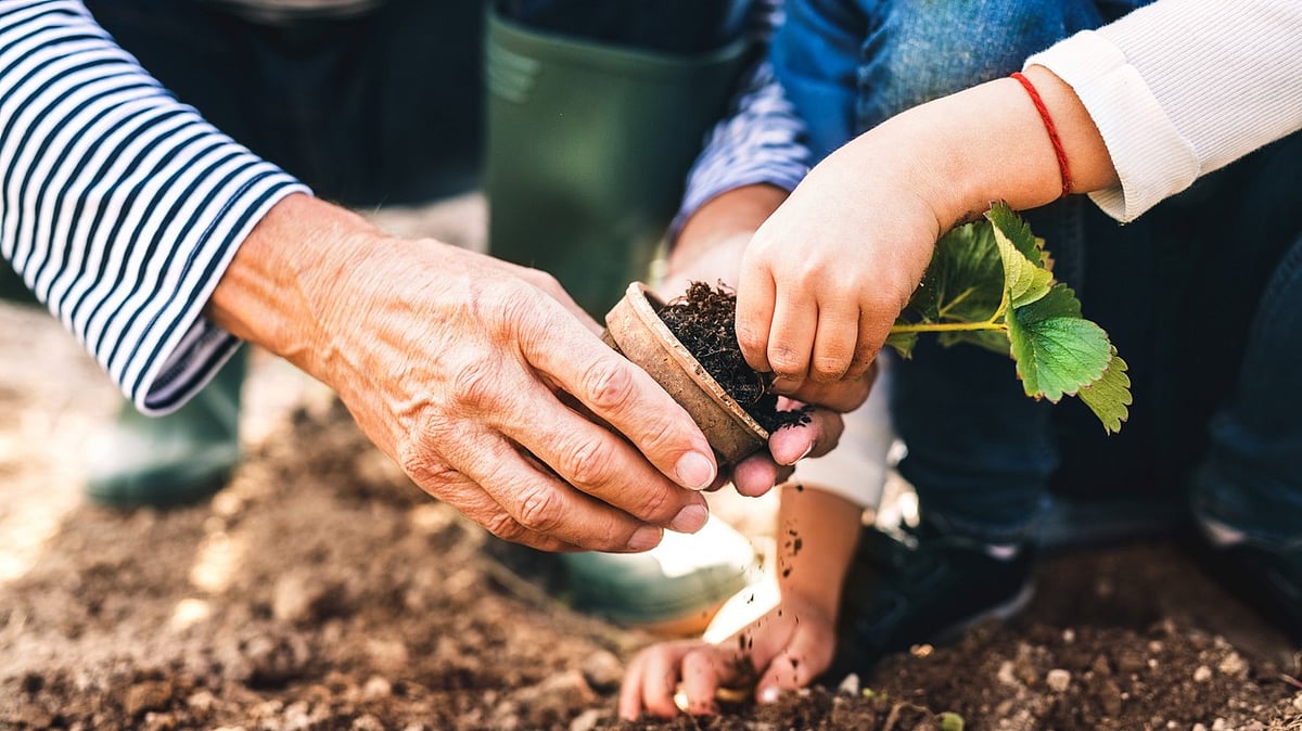 How my granddaughter reminded me that age is no barrier to wonder
