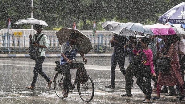 Photo from Deccan Herald's story