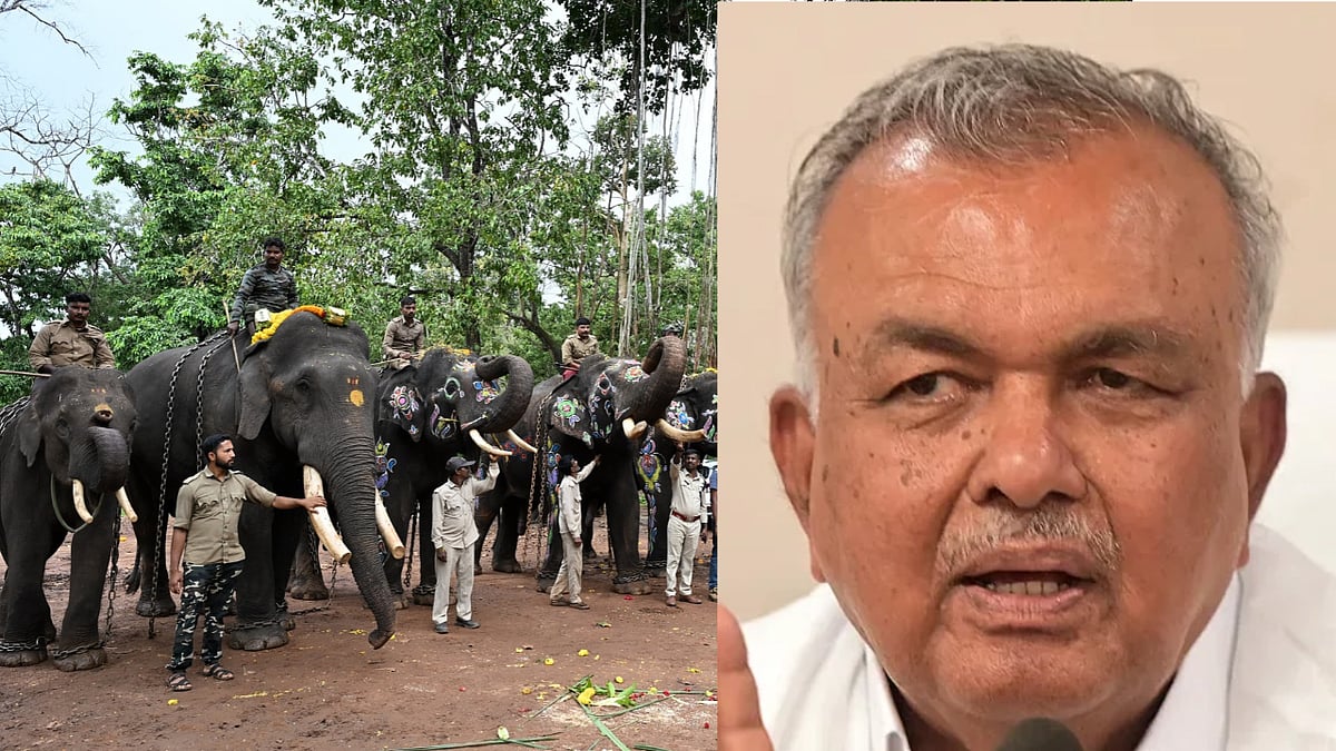 Forest department plans to reconstruct elephant corridor: Ramalinga Reddy