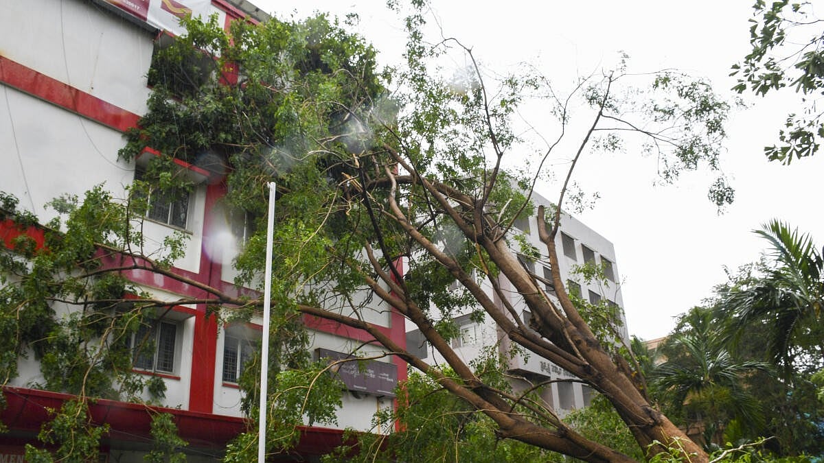 Photo from Deccan Herald's story