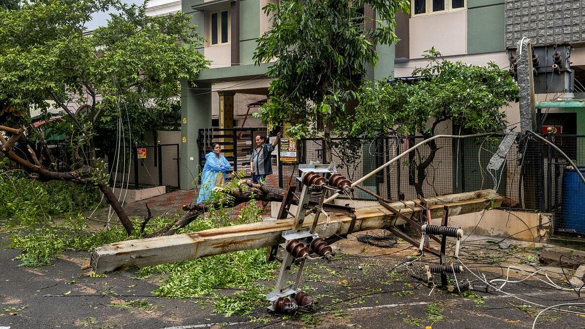 Photo from Deccan Herald's story
