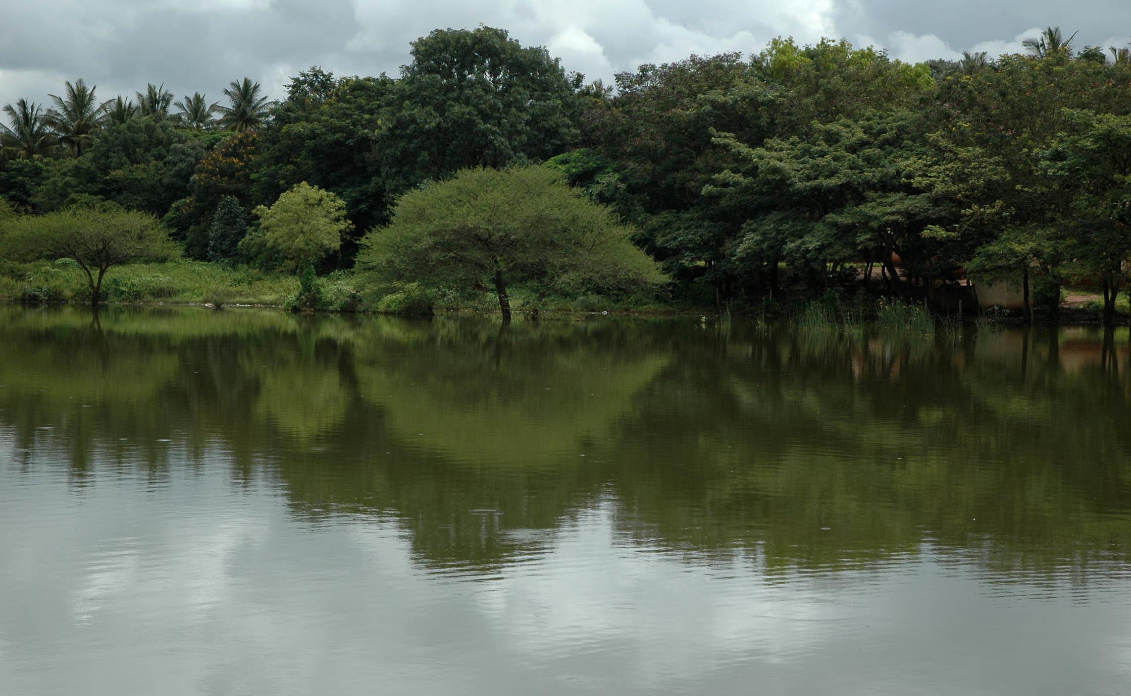 Sadhanakeri Lake