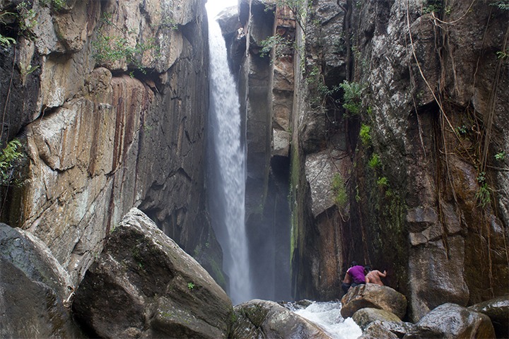 Honey Falls. Image courtesy: Wikimedia Commons