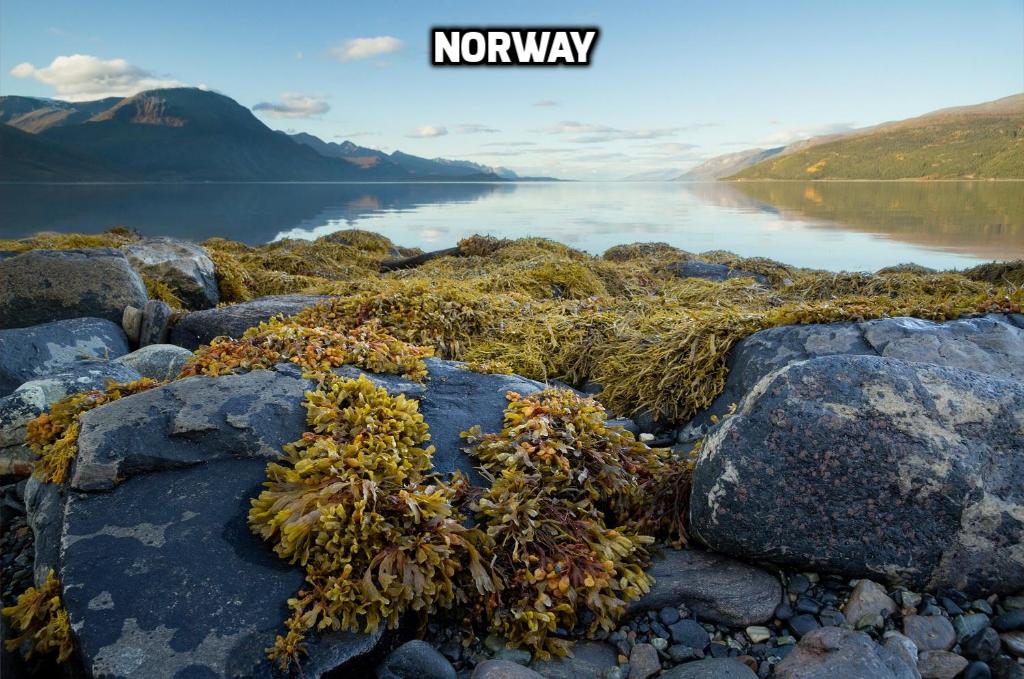 Norway
