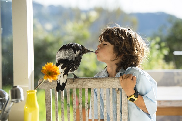 'Penguin', the magpie, and Sam's son Oli. Photos by Cameron Bloom