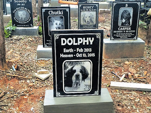 Pet Cemetery Small Animal Cremation Near Me Animal Cremation