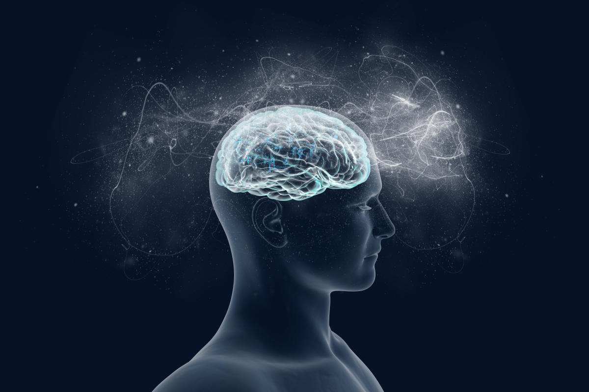 Visual stimuli induce gamma waves in our brain