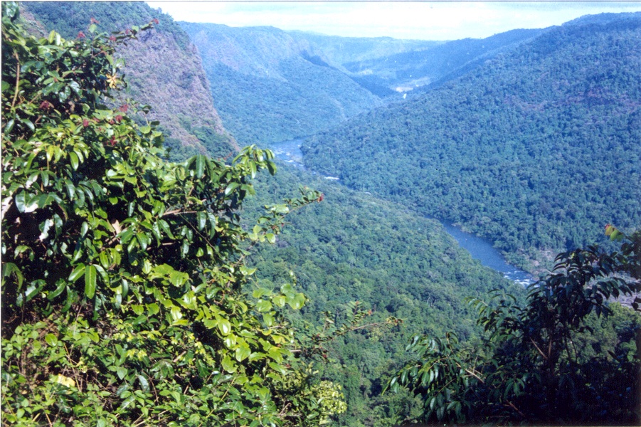 Protecting biodiversity