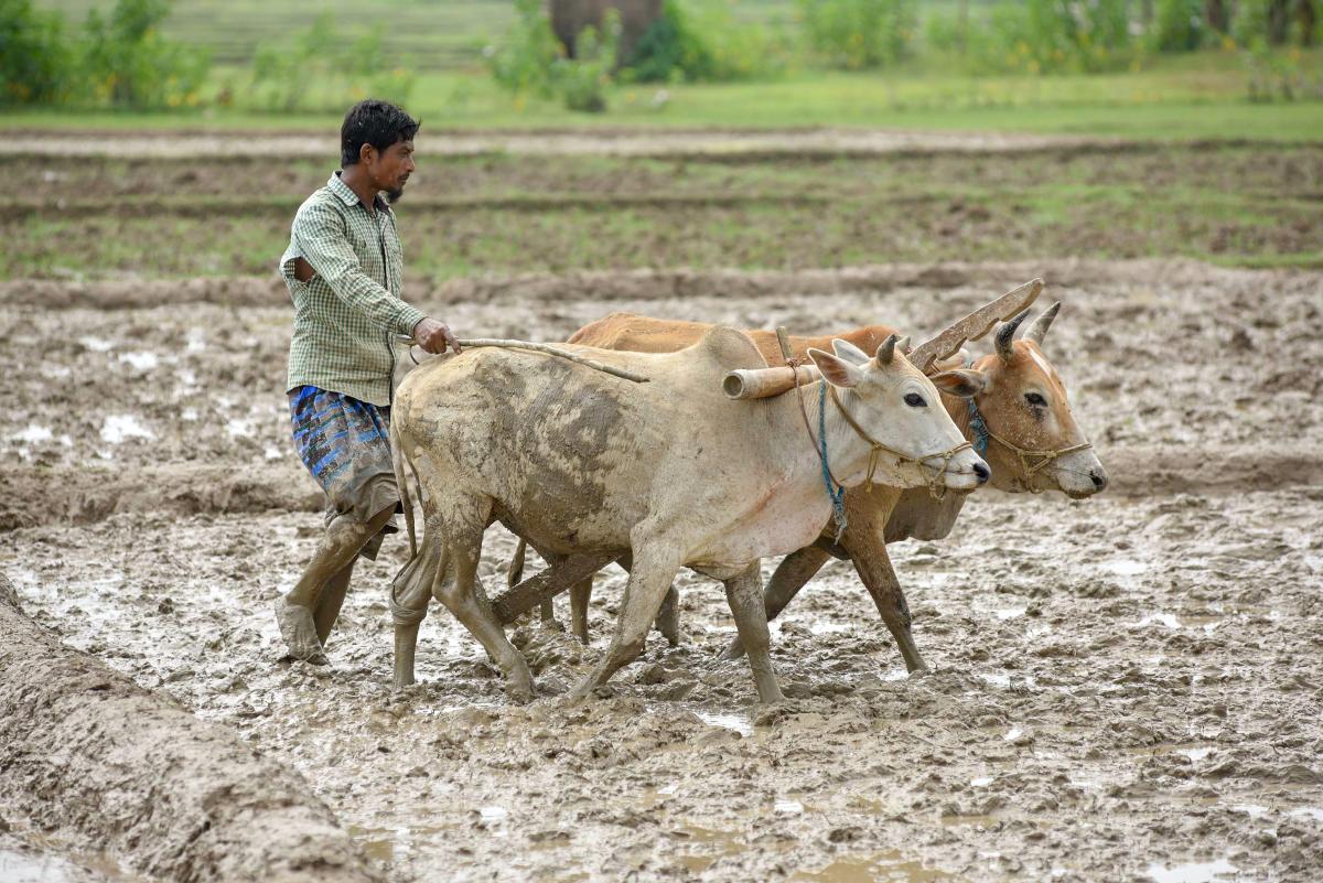 Farmer set on fire for resisting land encroachment