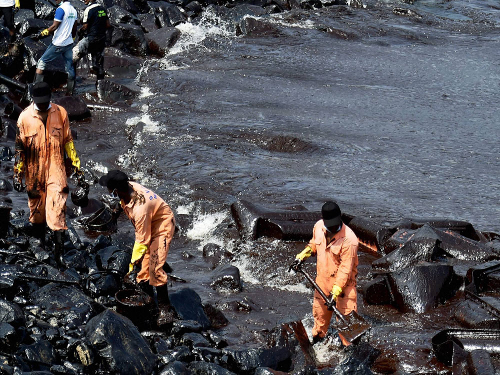Hundreds of birds stricken after Rotterdam oil spill