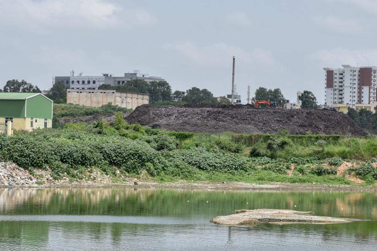 Land sharks eye Seegehalli Lake