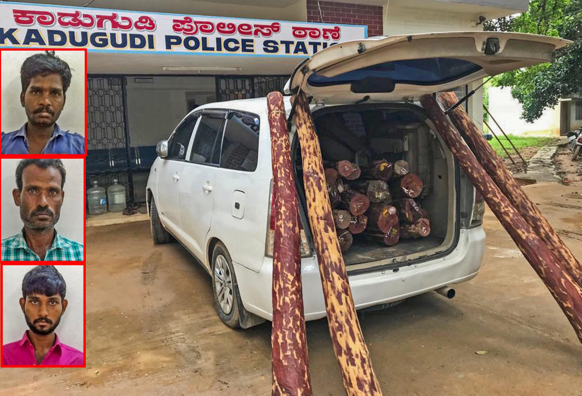 3 held with SUV loaded with Red Sanders