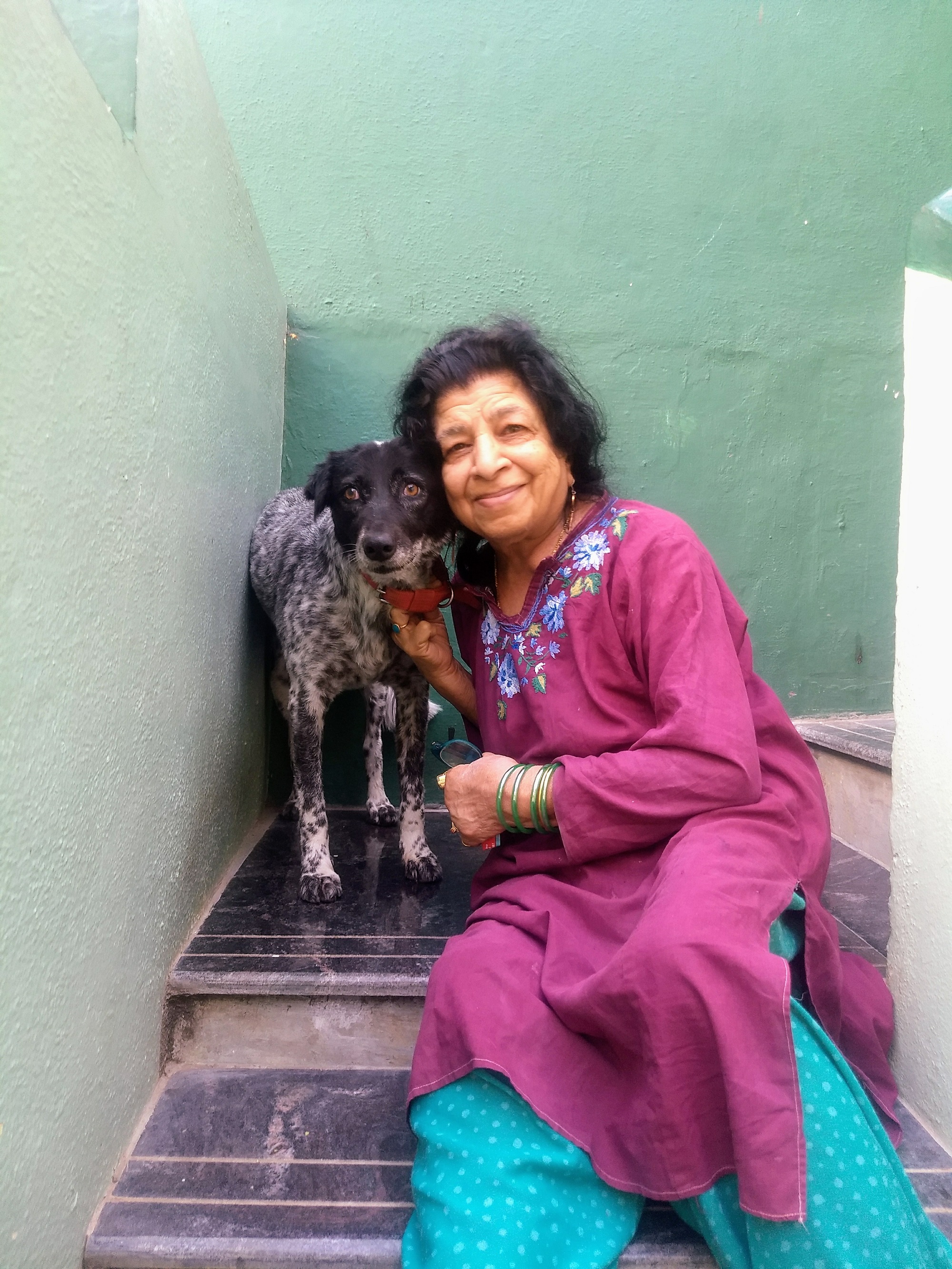 One dog, two families