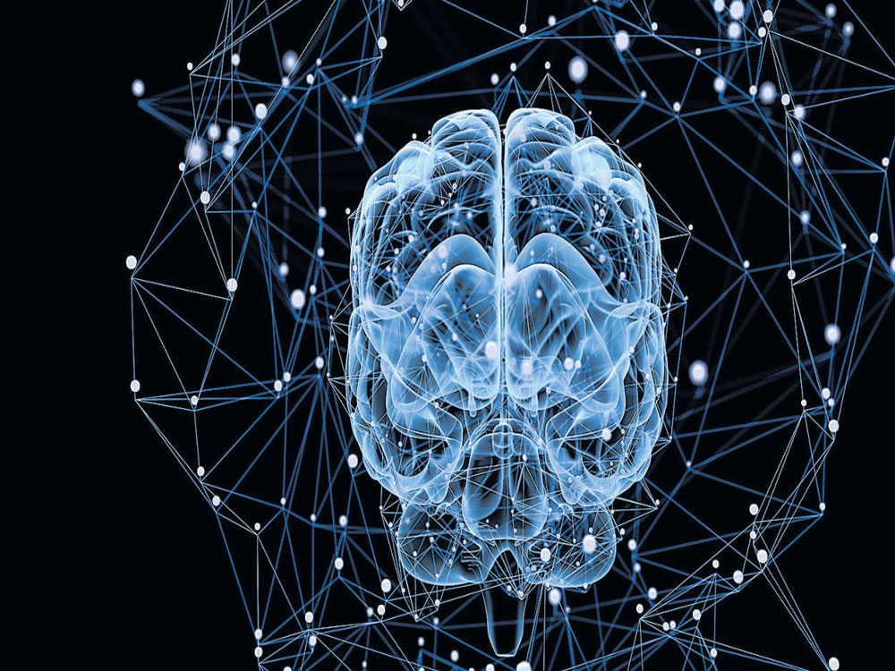 Neuro-developmental disorder high in India