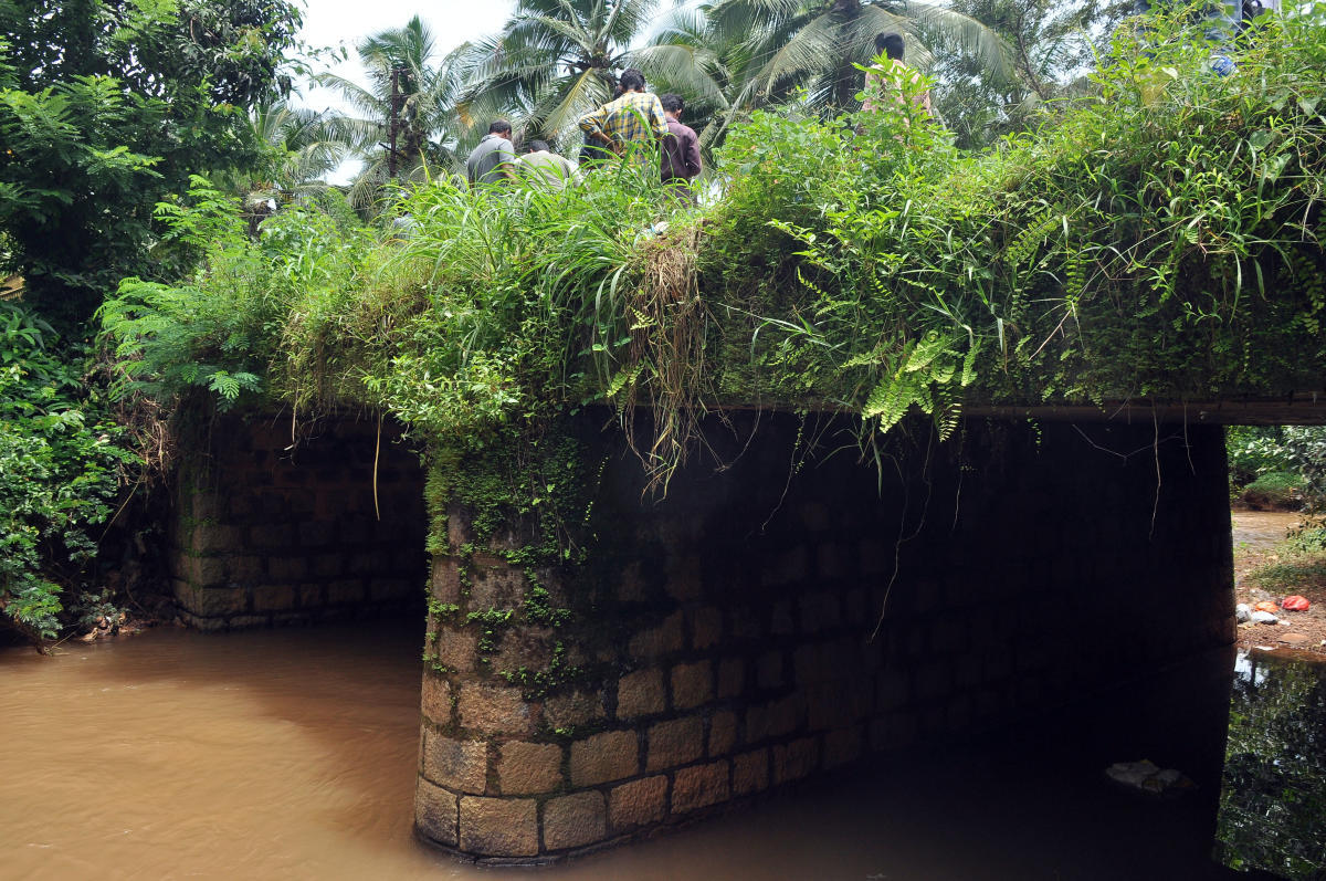 Cracks on Kalkatta-Manjanady bridge cause for concern