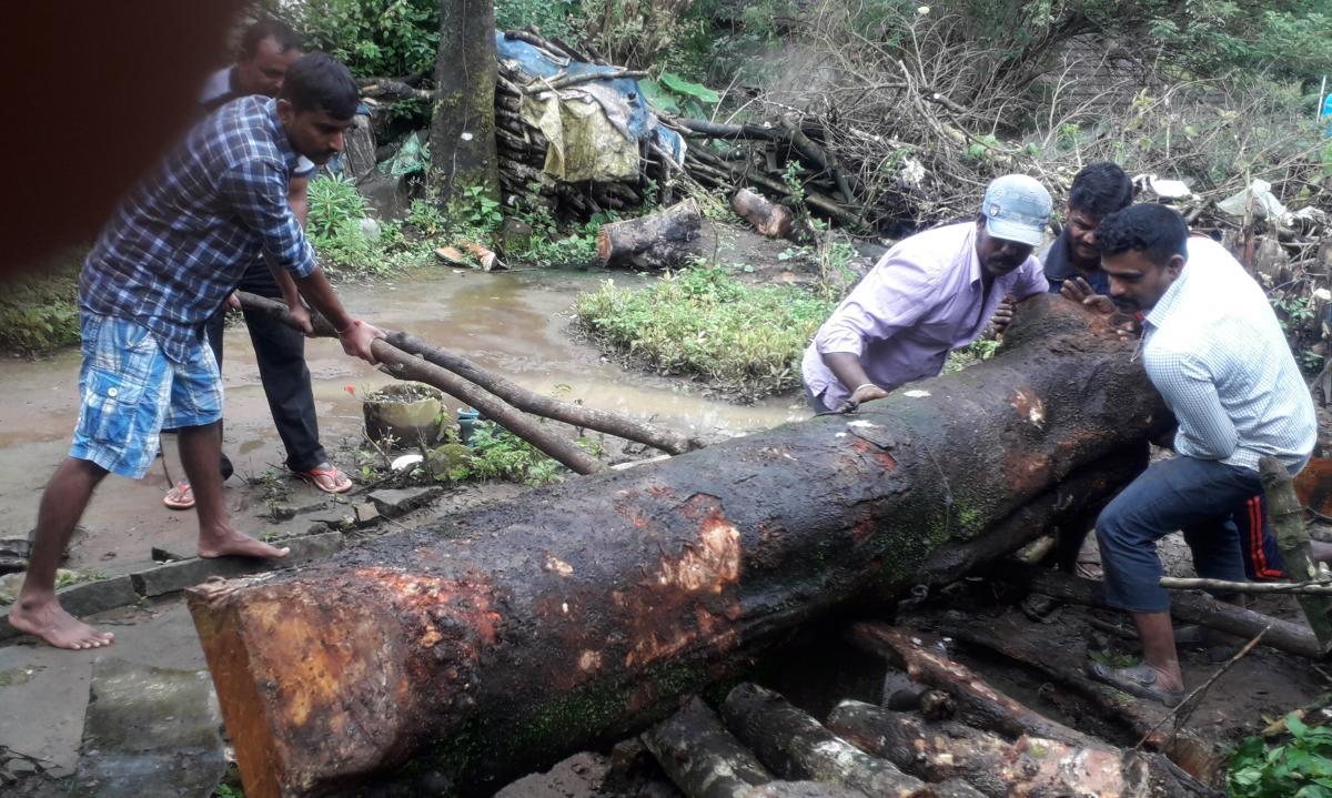 Forest Dept registers case against teacher