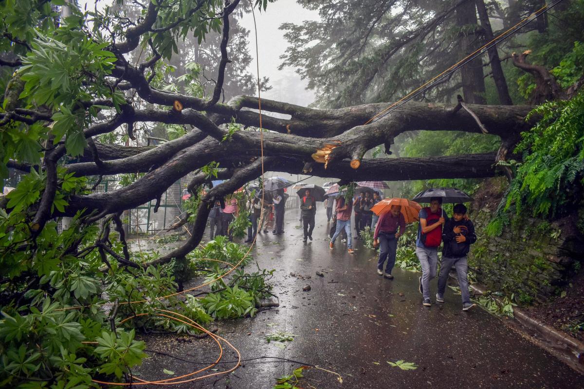 Central team to assess rain damage in DK, Udupi
