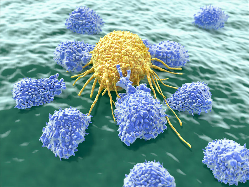 Cancer in India: the food safety paradox