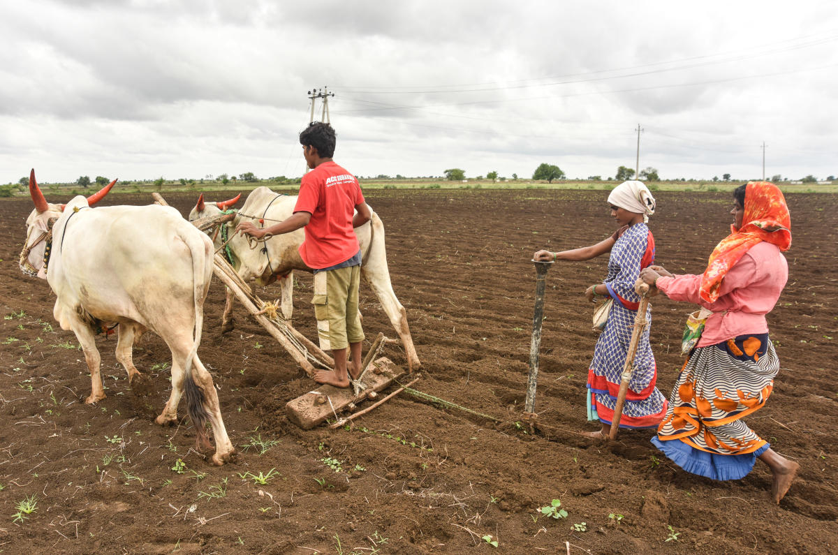 Farm to fork: case for agri-tech