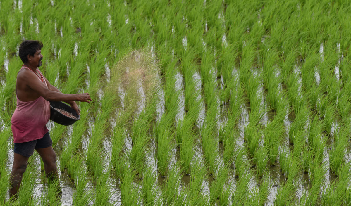 Farmers near Arkavathy river not keen on farming: study