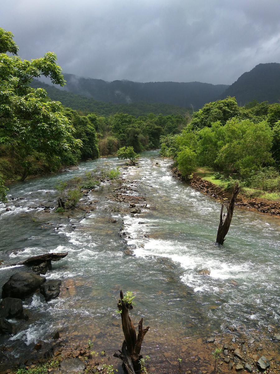 Rivers, lifelines of the land