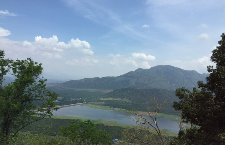 A drive through misty Kodaikanal