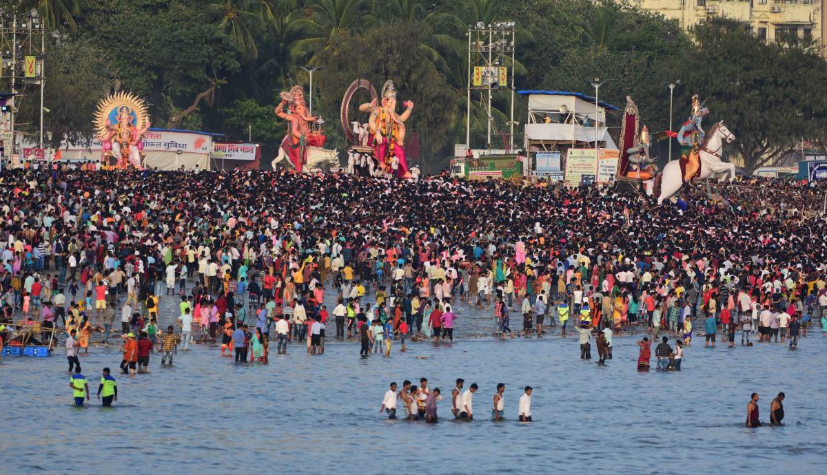 BMC cautions devotees against blue button jellyfish, stingrays during Ganesh Visarjan