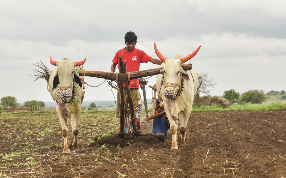 To boost rural incomes, keep youth in their villages