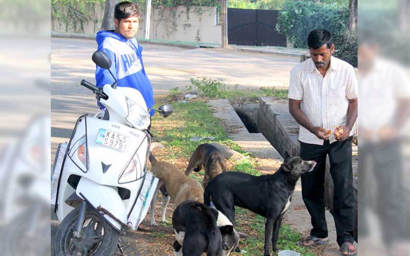 Dog lovers face MP’s ire