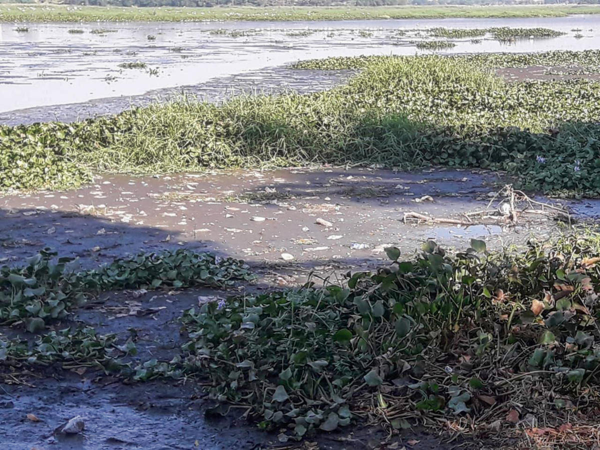 Black soot-like layers float on Bellandur Lake
