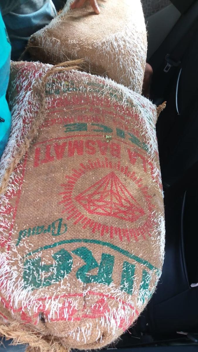 Cheap paddy from Bihar seized in Punjab