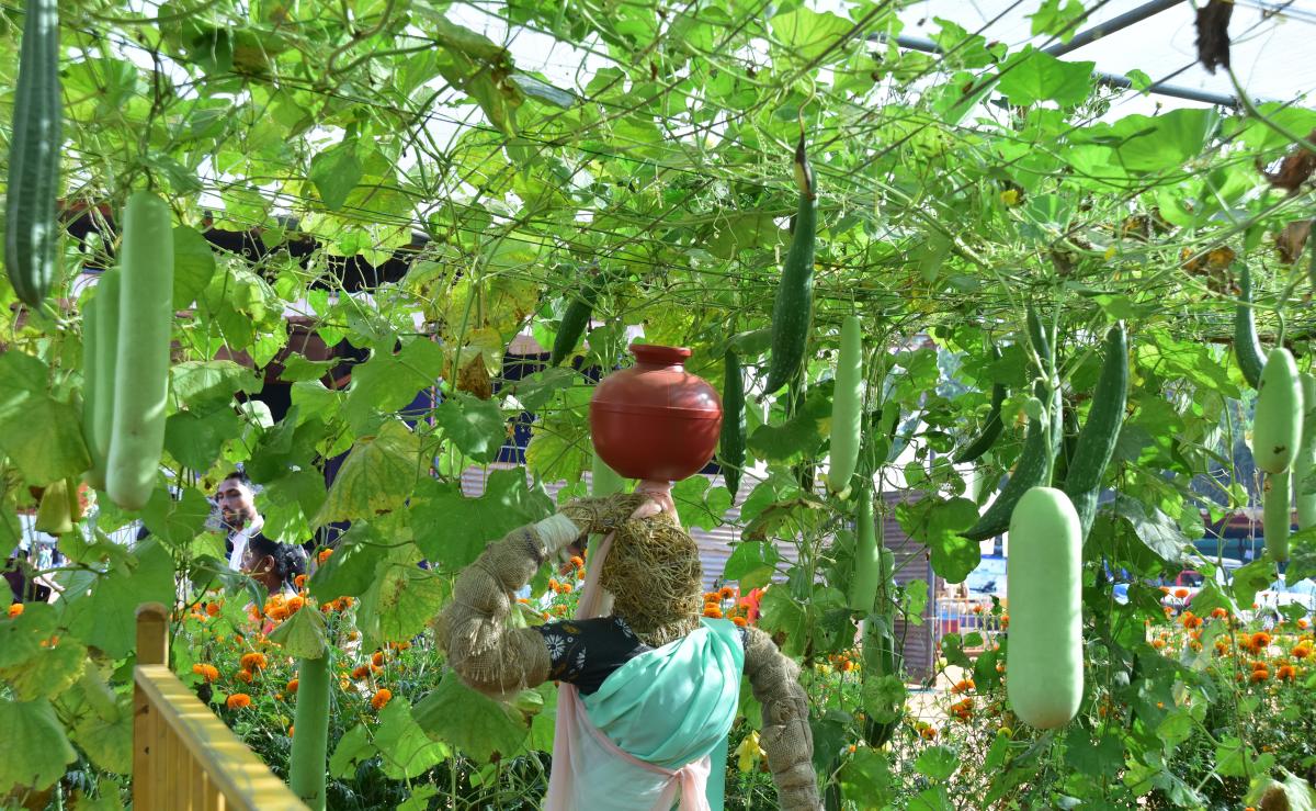 Organic cultivation attracts onlookers