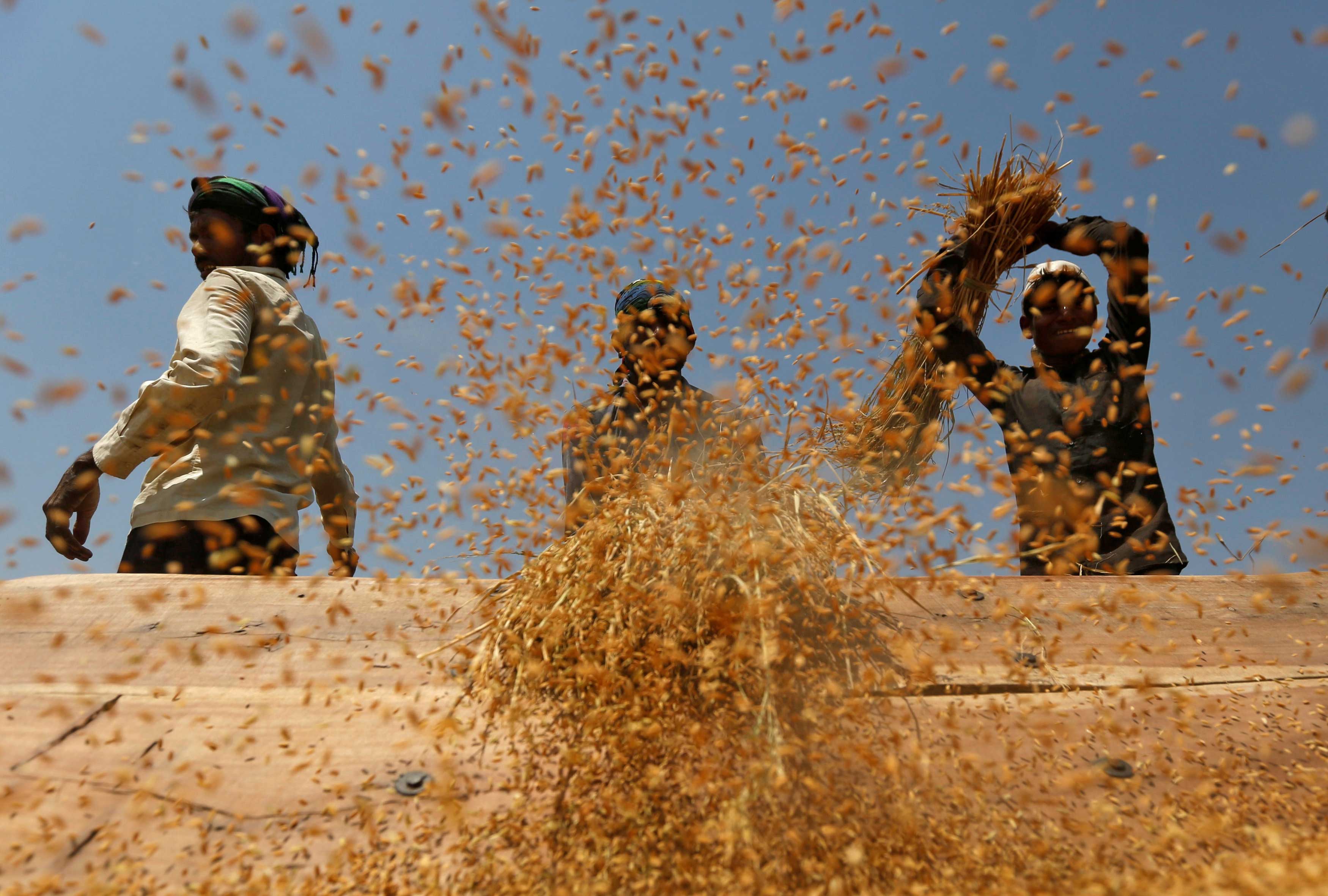 A first: Karnataka to get paddy directly at mills