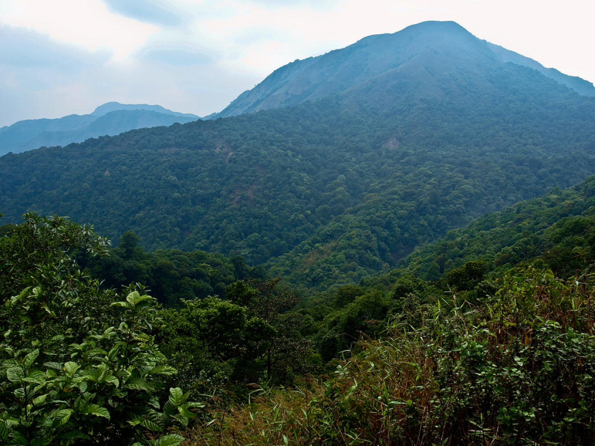 Forest conservation is no watertight compartment: MoEF