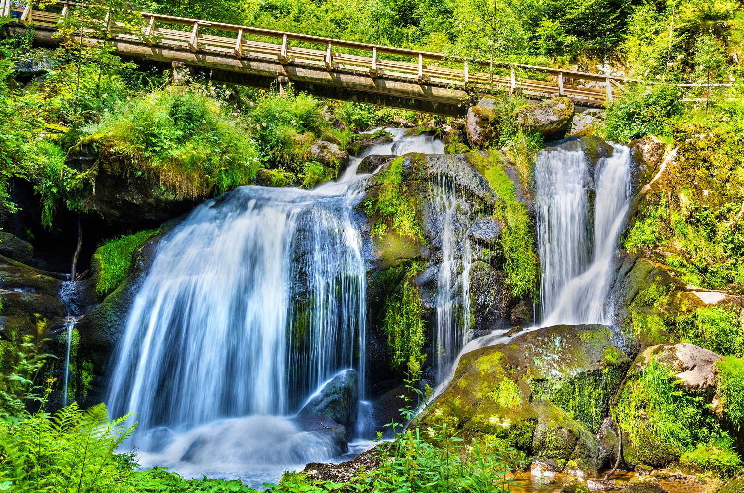 Tryst with Triberg