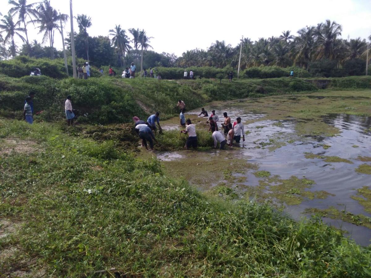 Reviving local water sources