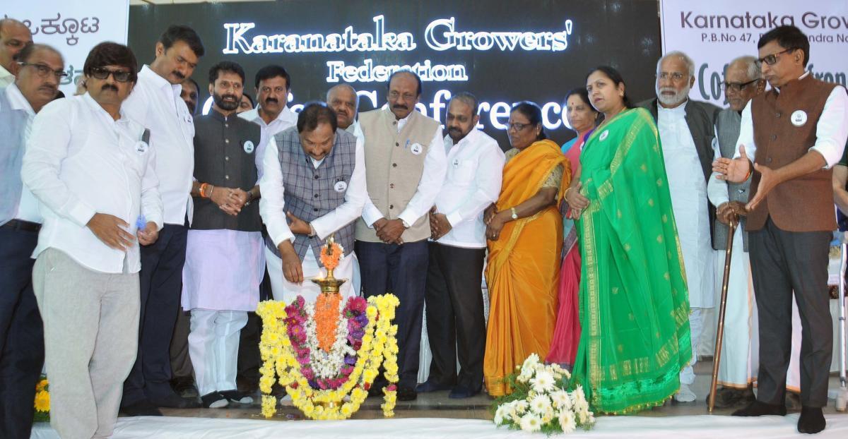 Create brand for coffee from Malnad: George