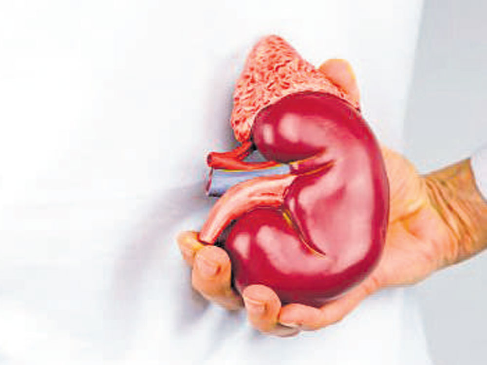 Curious case of kidney racket victim turning suspect