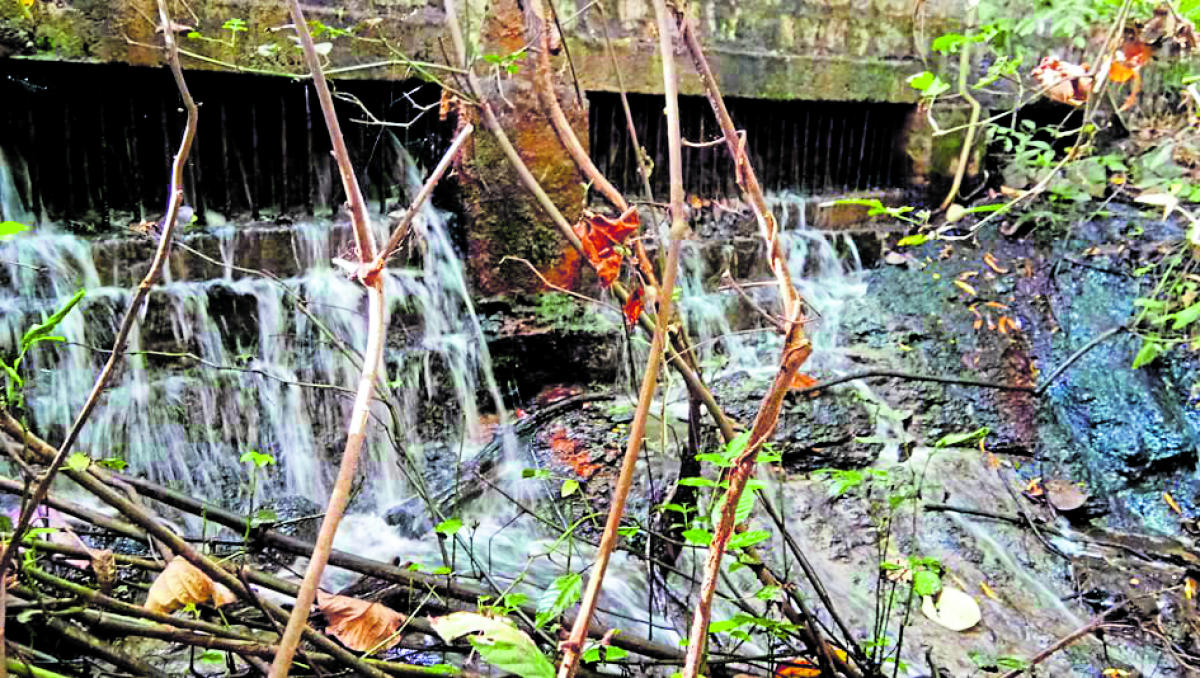 Partially treated water poses threat to Pilikula zoo