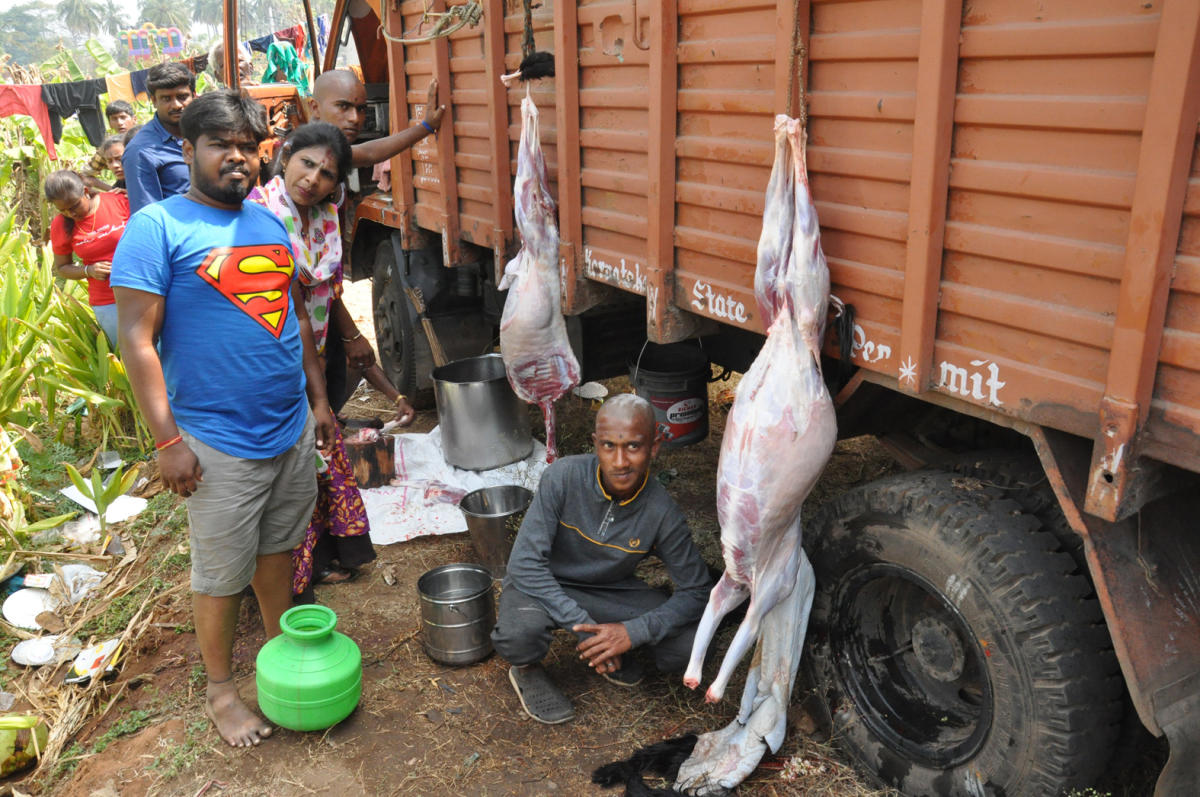 Chikkallur jatra fails to draw crowd