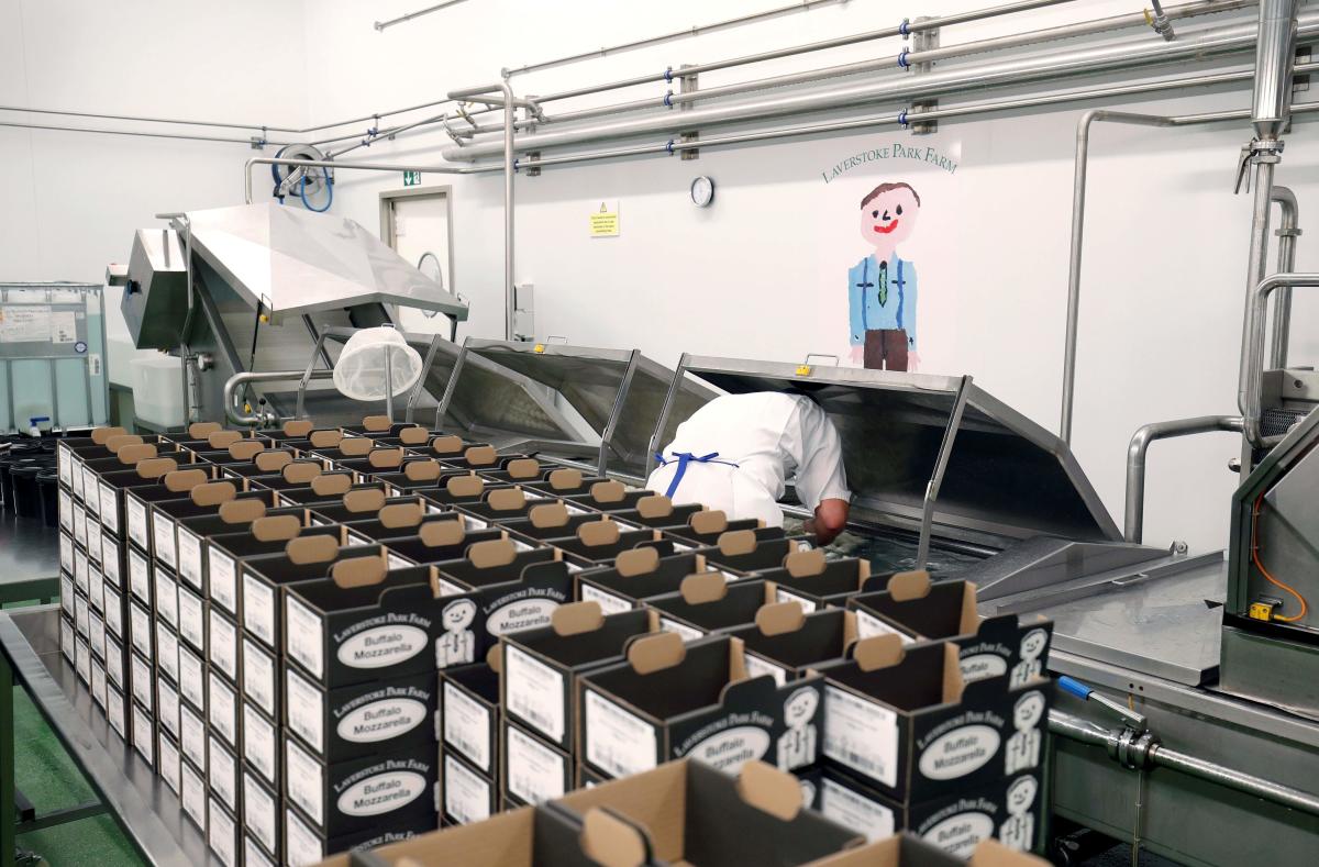 Made-in-Britain mozzarella on the rise as Brexit looms