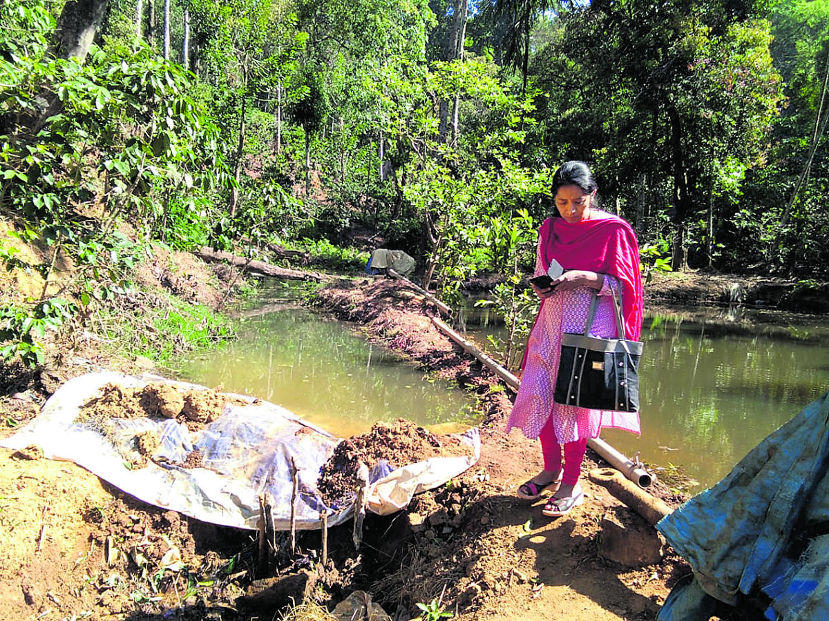 Planter blocks stream, diverts water to his estate