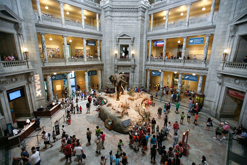 Desi version of Smithsonian planned