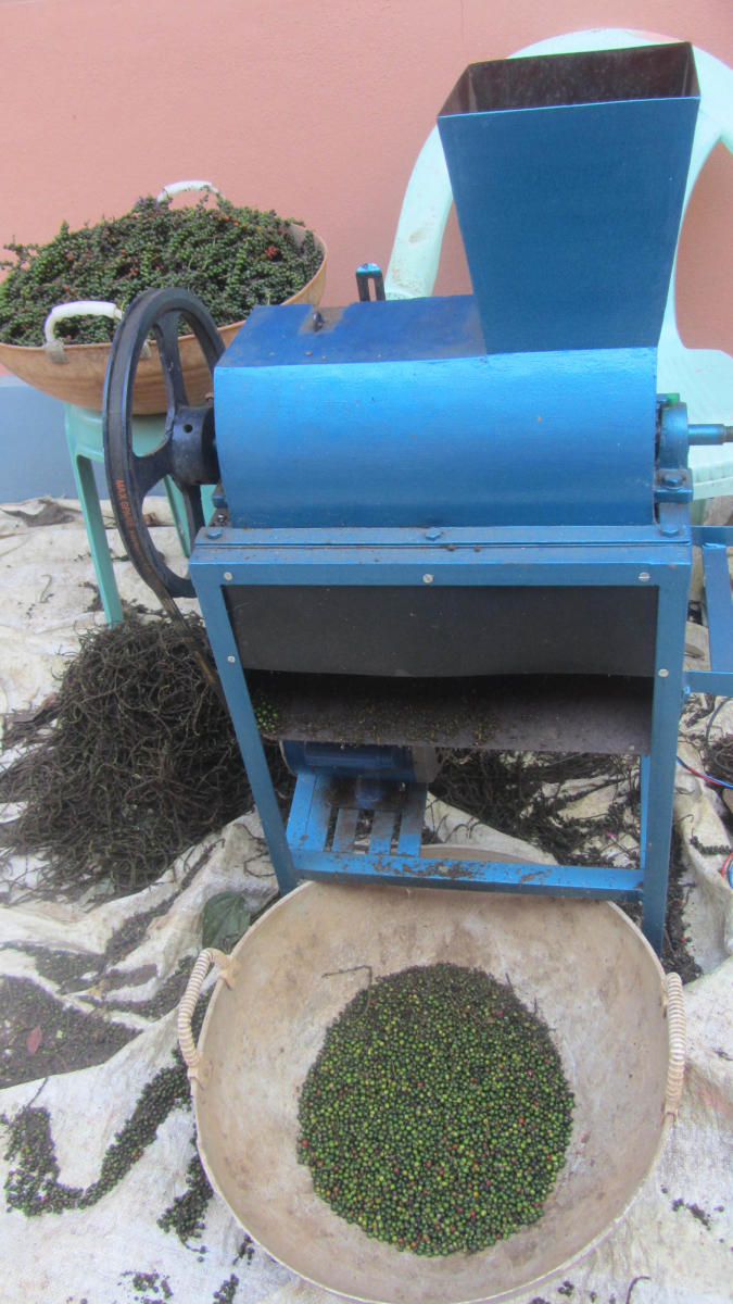 Pepper grain separator helps growers
