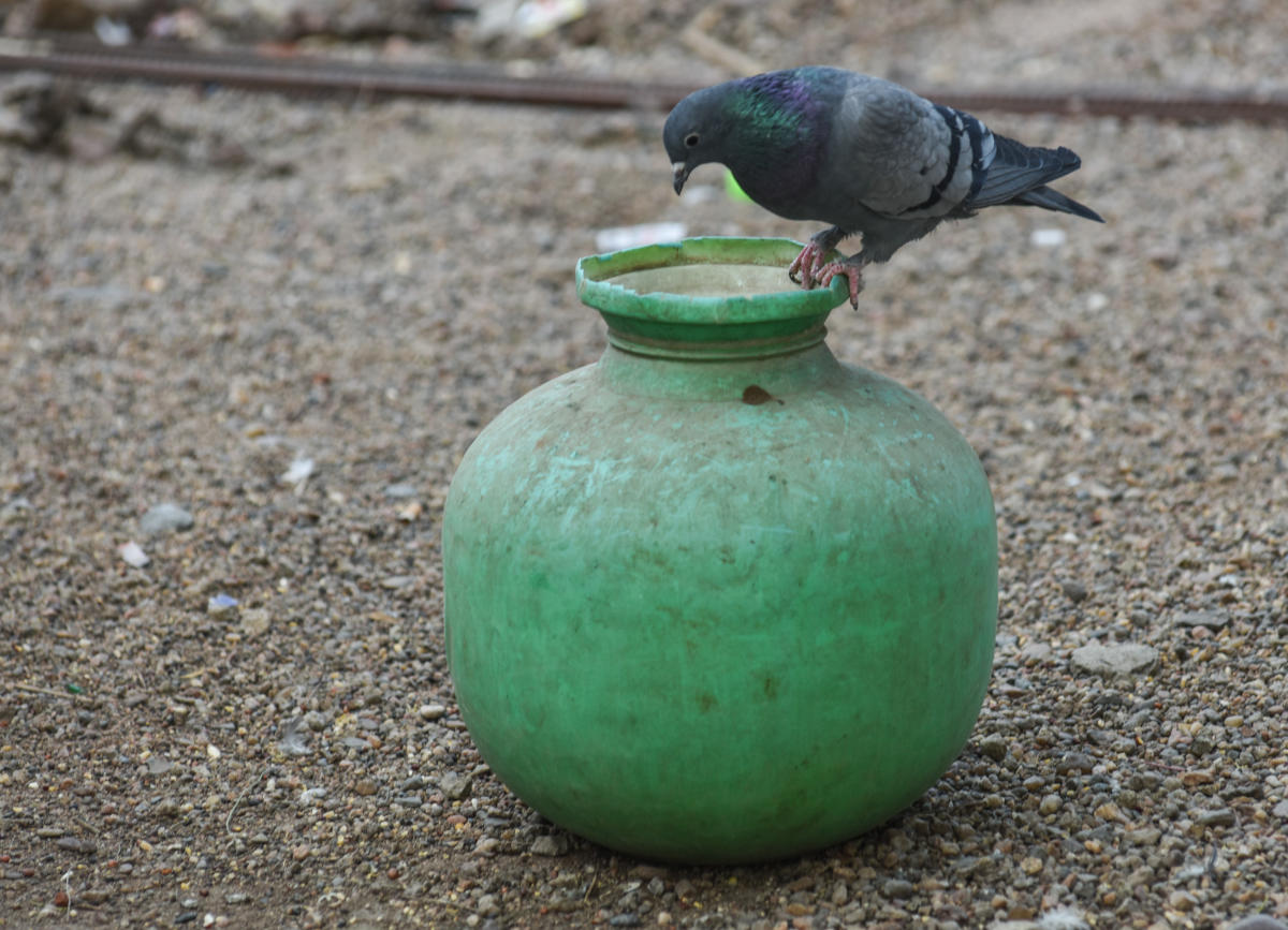 World Water Day: No water, no life