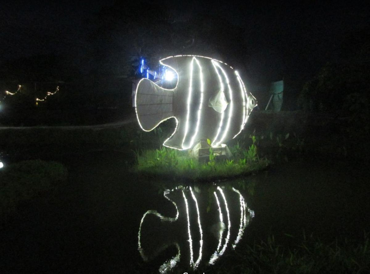 World’s first ‘reflection art garden’ in Mysuru
