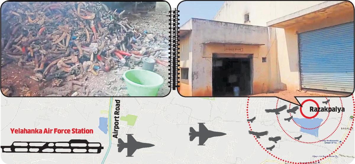 Bird-hit threat:Airbase wants bone-crushing unit closed